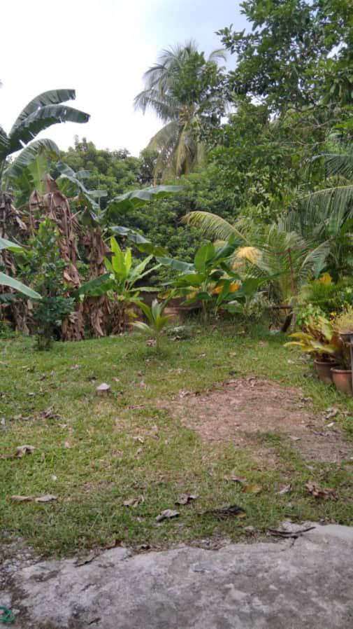 Leasehold Non Bumi Lot DOUBLE STOREY  S19 - photo 2