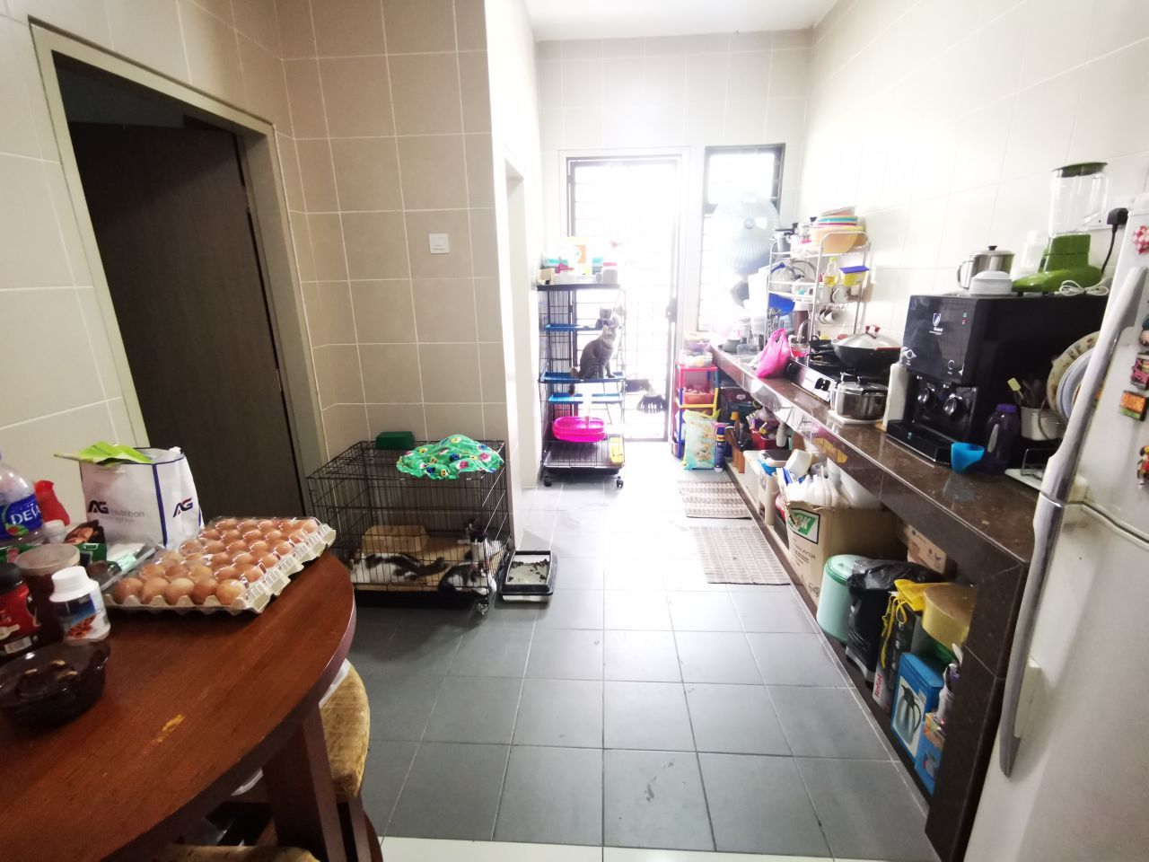 Freehold DOUBLE STOREY GETA RESIDENCE BDR BUKIT - photo 5