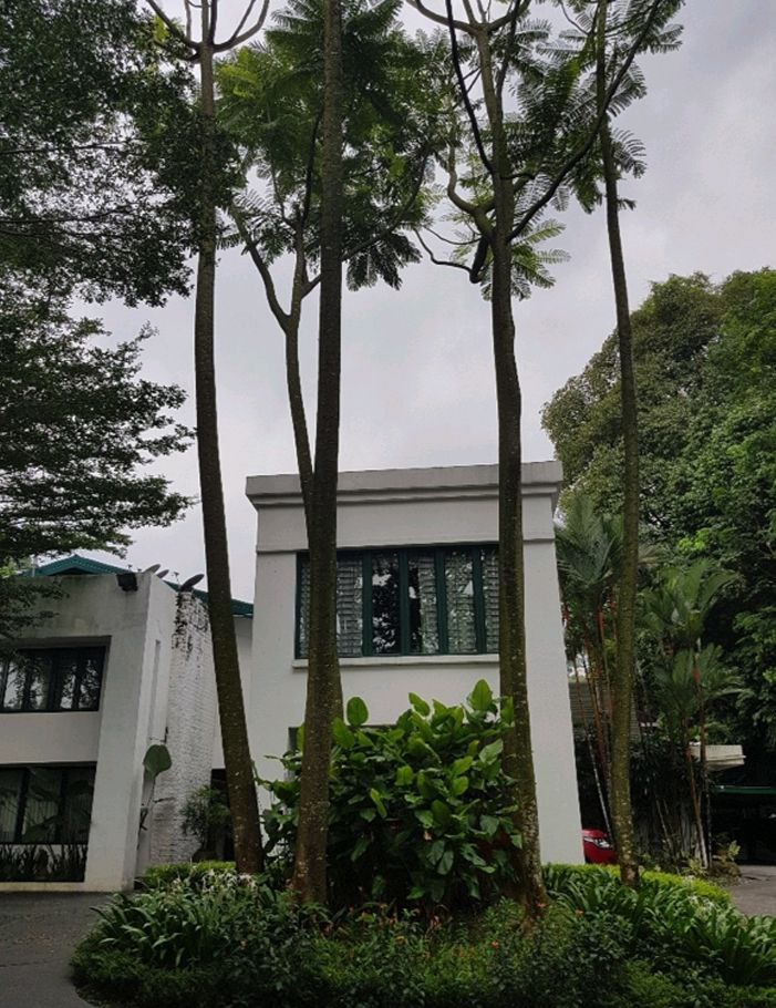 3 Storey Detached Renovated Bungalow Bkt Tunku - photo 8