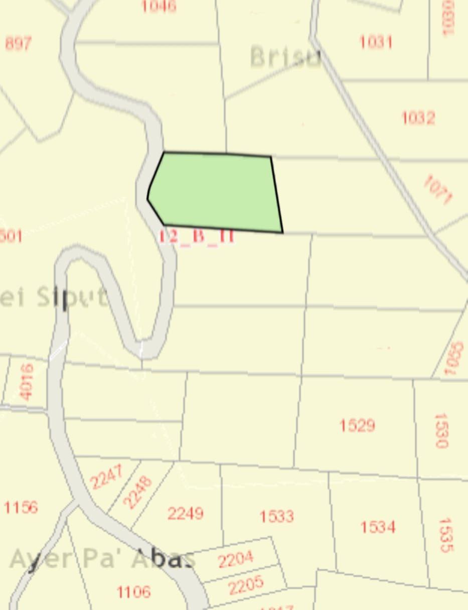 Agriculture Land for Sale at Brisu, Alor Gajah - photo 3