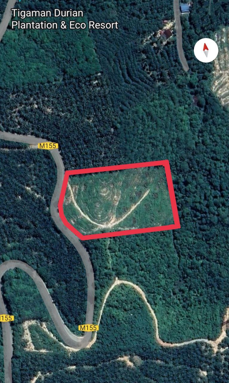 Agriculture Land Sale at Brisu, Alor Gajah Melaka - photo 3
