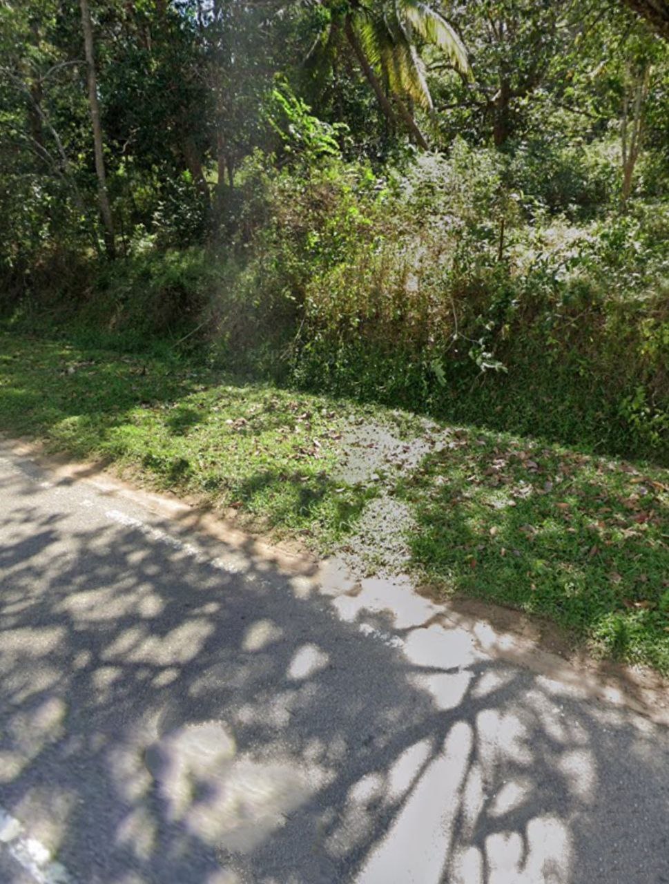 Agriculture Land Sale at Sungei Siput, Alor Gajah - photo 2