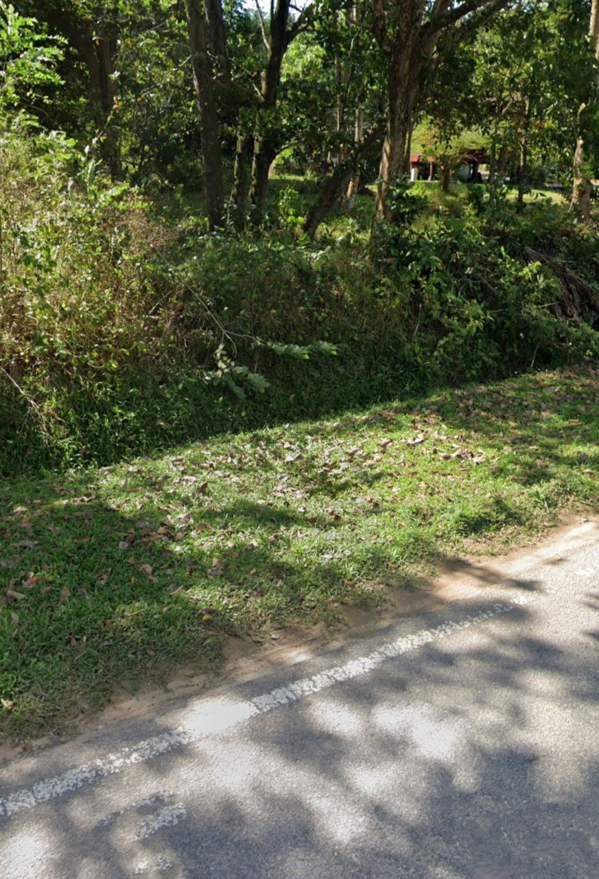 Agriculture Land Sale at Sungei Siput, Alor Gajah - photo 3