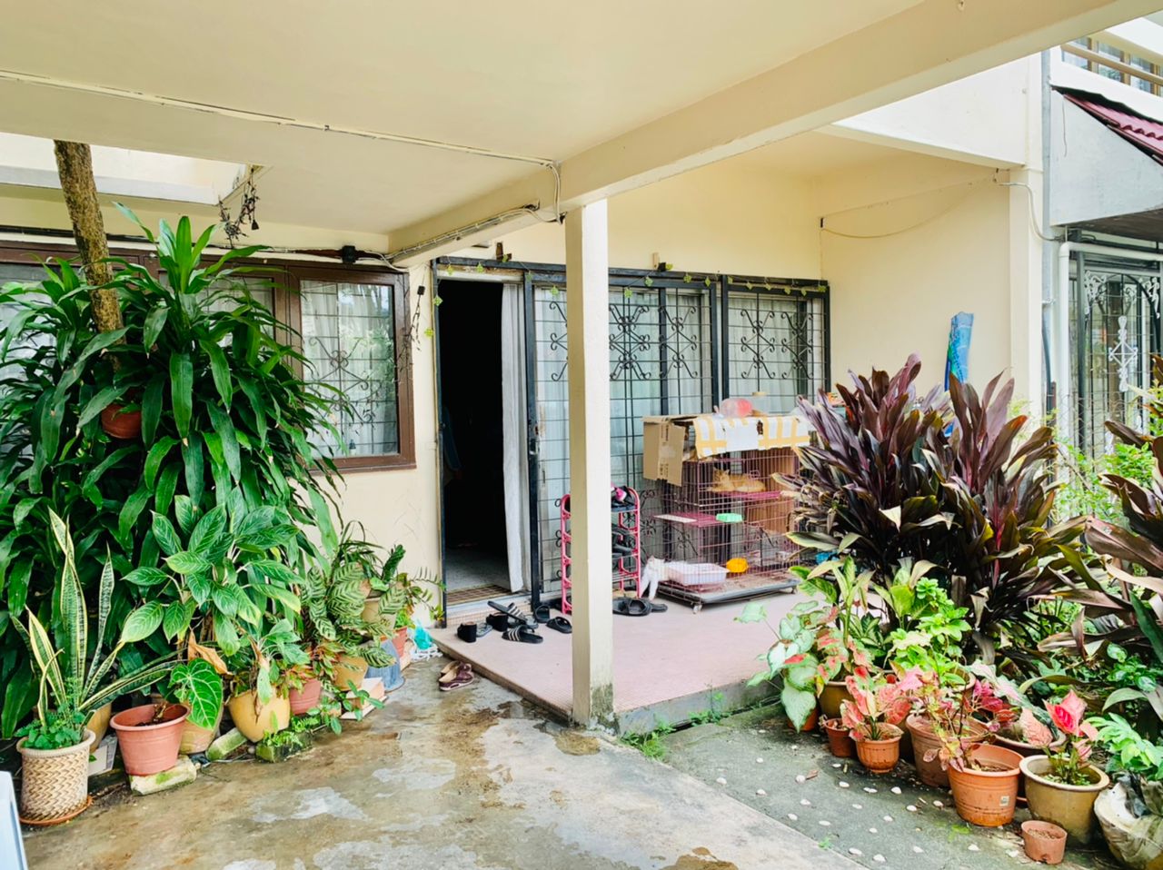Facing Open 2 Sty Terrace SS12 Subang Jaya - photo 2