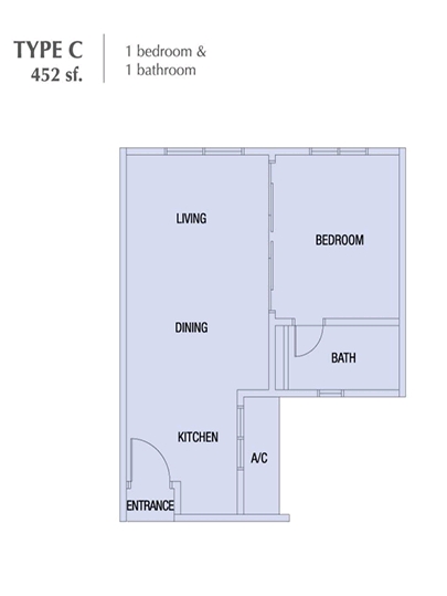 Brand New One Bedroom Studio Alanis Condo - photo 3
