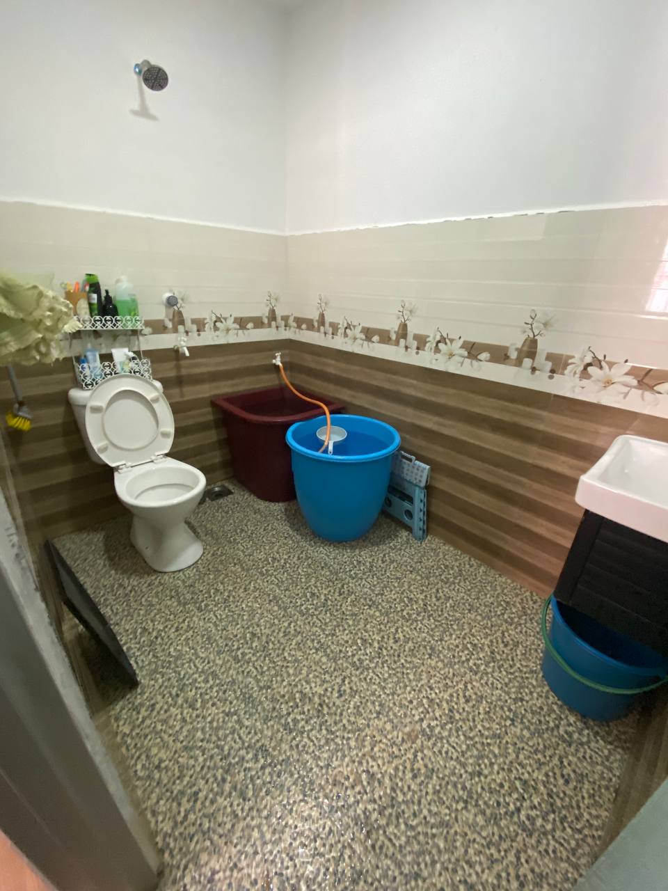 Double Storey Green Valley Park Bdr Tasik Puteri - photo 4