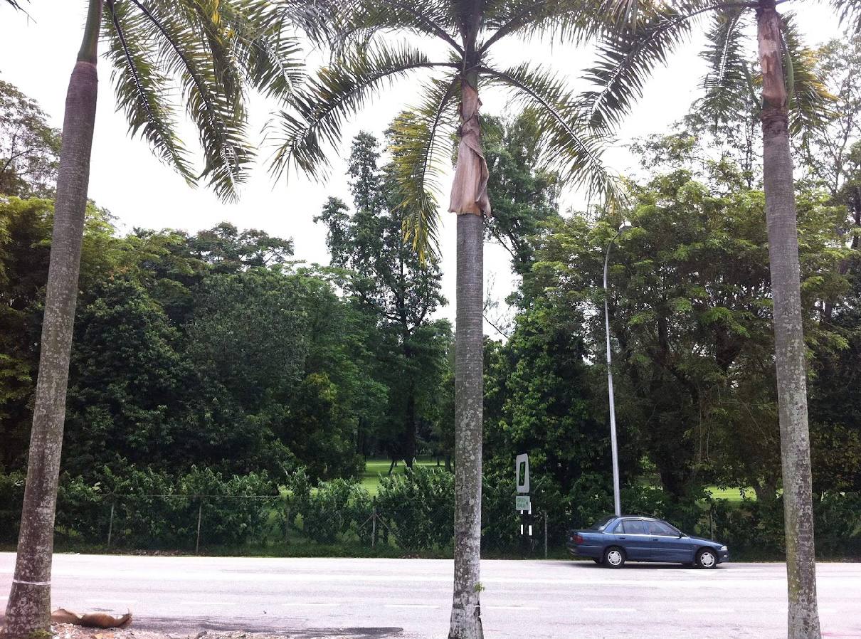 Kelana Jaya Bungalow Land For Sales By Shawn - photo 4