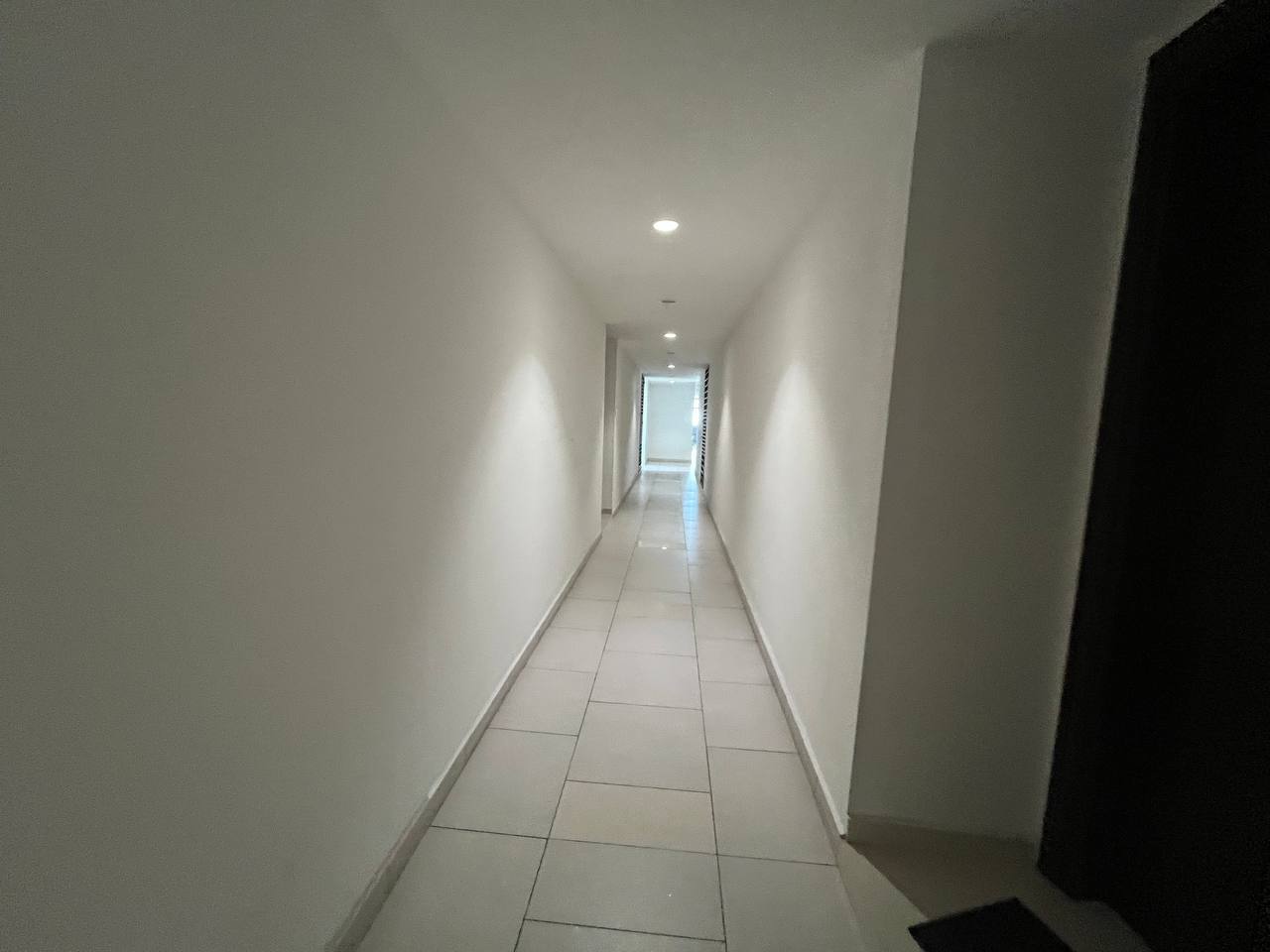 Tropicana Avenue 1Rooms by AD - photo 8