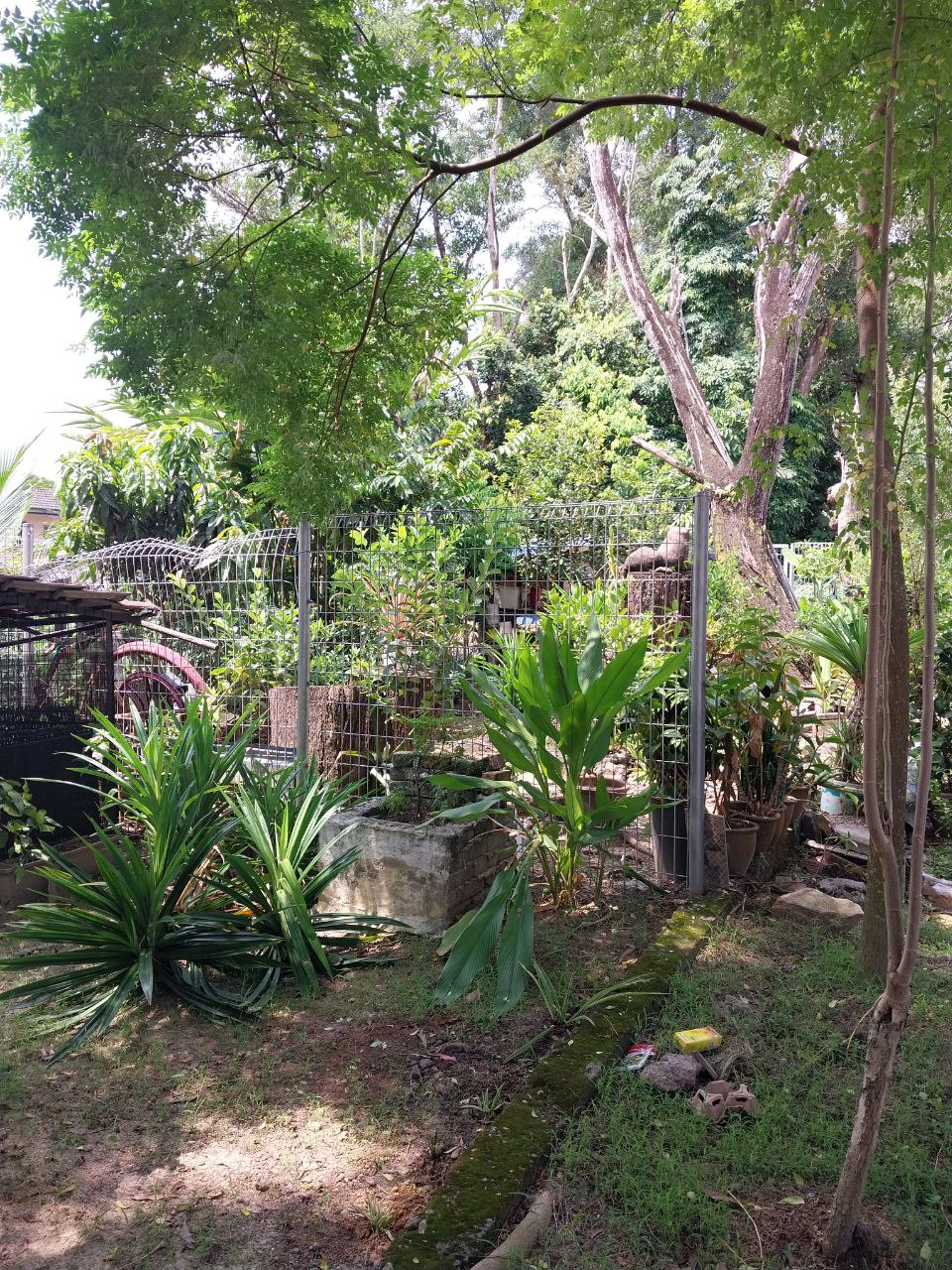 DS House Bukit Rahman Putra By PC - photo 2