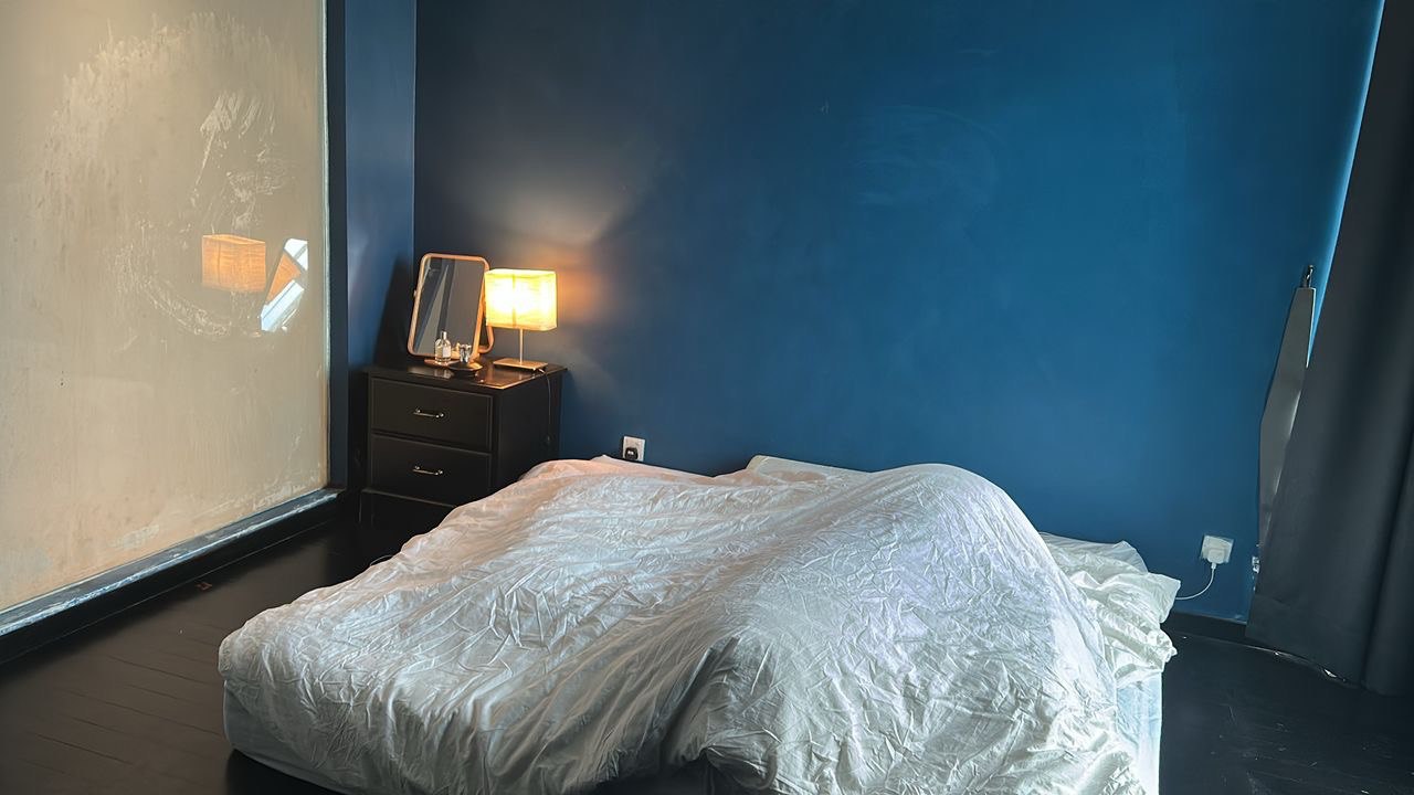 Tropicana Avenue 3Bed FF By Shawn - photo 8