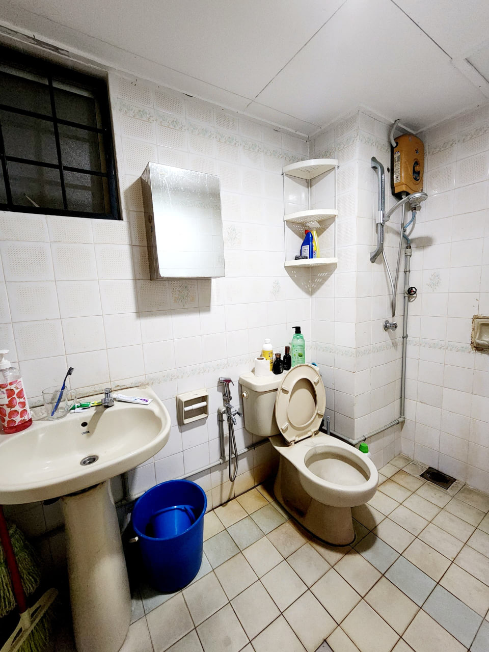 Shang Villa 3Rooms PF by BL - photo 9