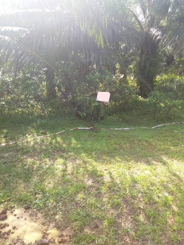 Tanah Pertanian Bukit Sagu, Kuantan - photo 3