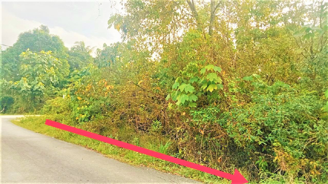 Tanah Corner Lot RTK Permatang Badak - photo 2