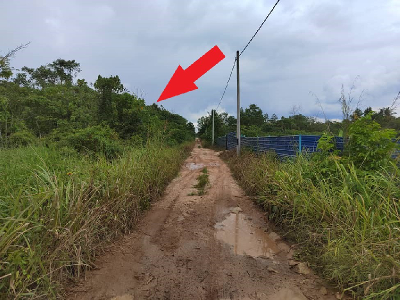 Tanah Pertanian Jaya Gading 