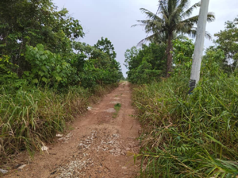 Tanah Pertanian Jaya Gading  - photo 4