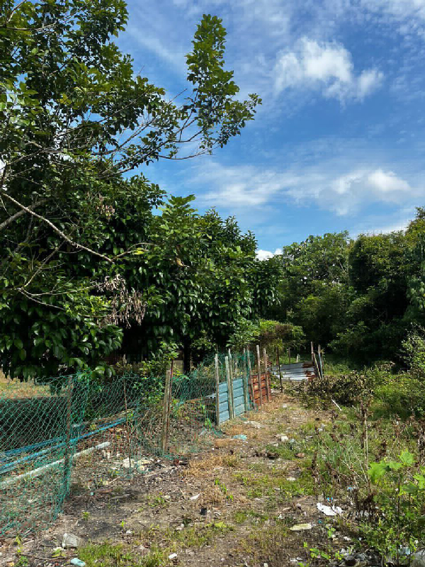 Lot Banglo Kg Chendering, Permatang Badak - photo 2