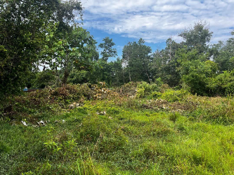 Lot Banglo Kg Chendering, Permatang Badak - photo 3