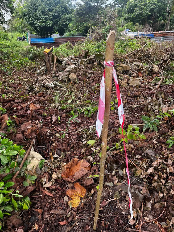 Lot Banglo Kg Chendering, Permatang Badak - photo 4