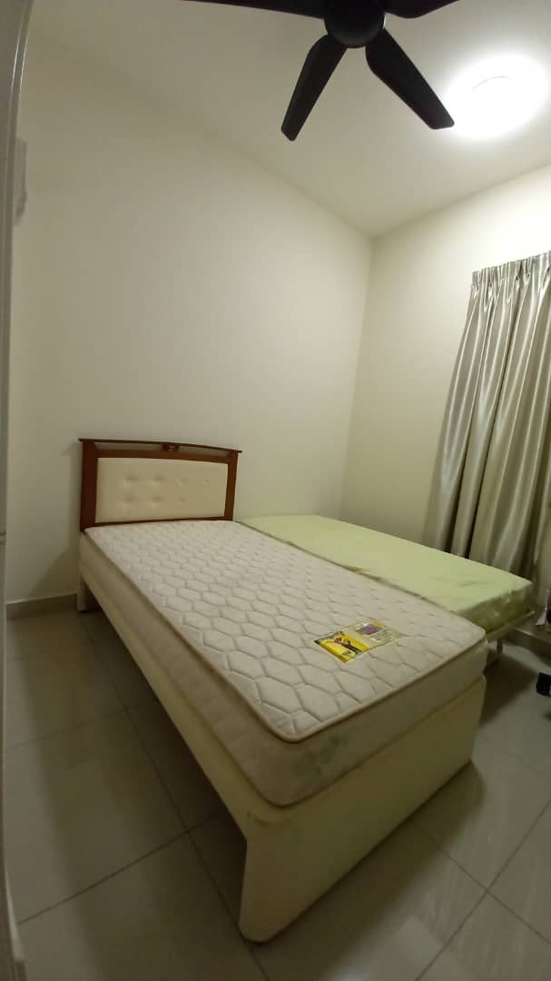 Royal Infinity - photo 5