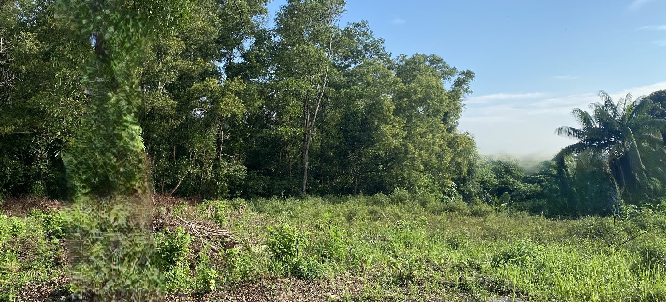 Freehold 4400sqft Re ...