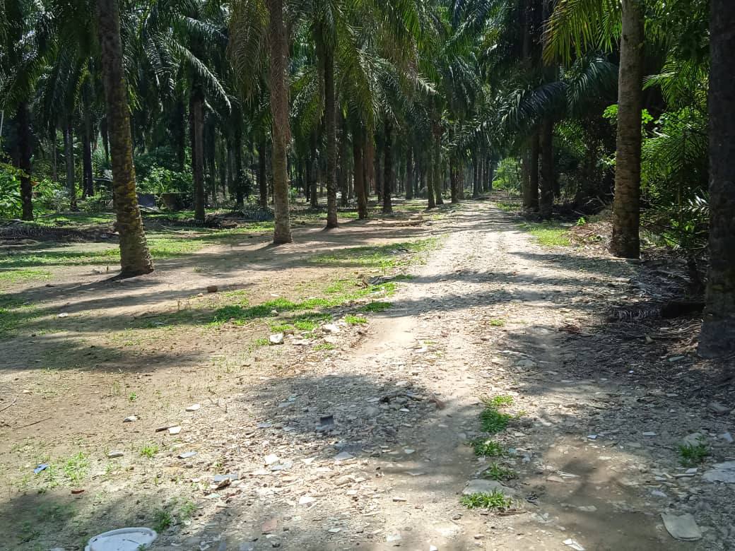 Tanah Kosong di Dengkil Selangor Untuk Dijual - photo 3
