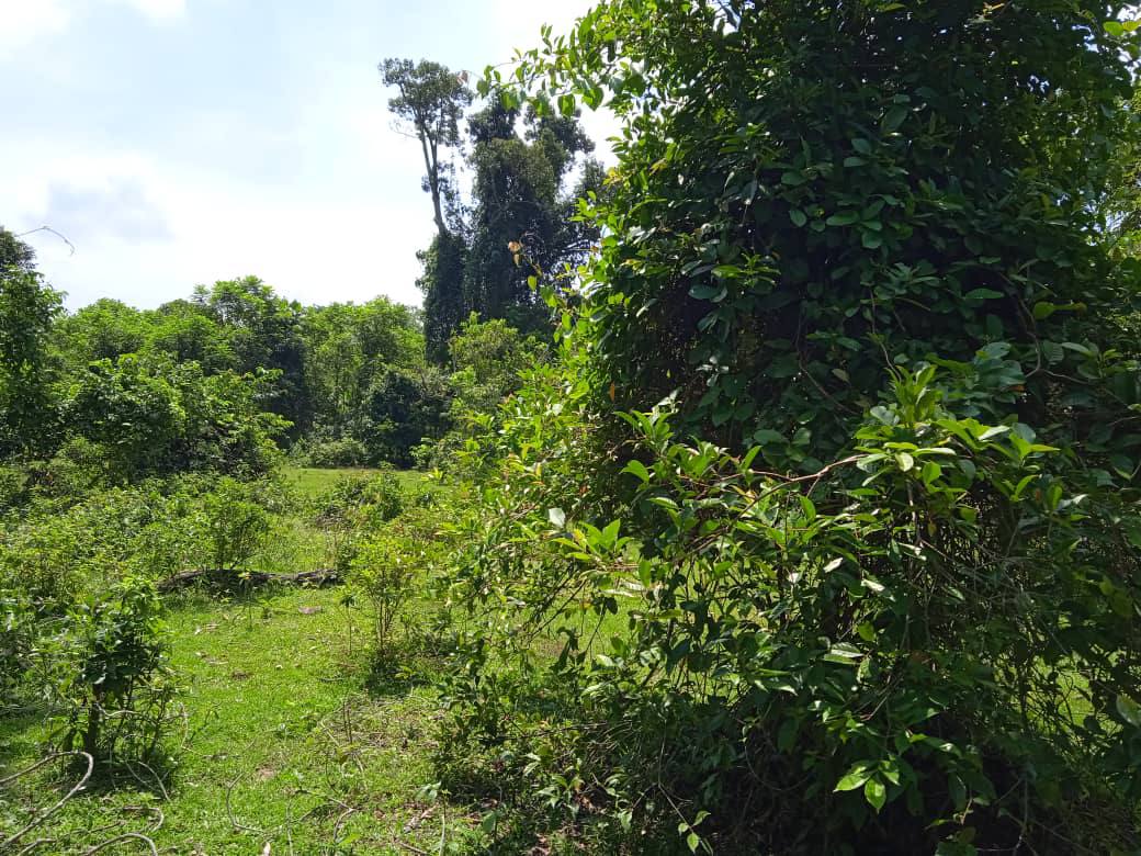 Tanah Kosong di Dengkil Selangor Untuk Dijual - photo 5