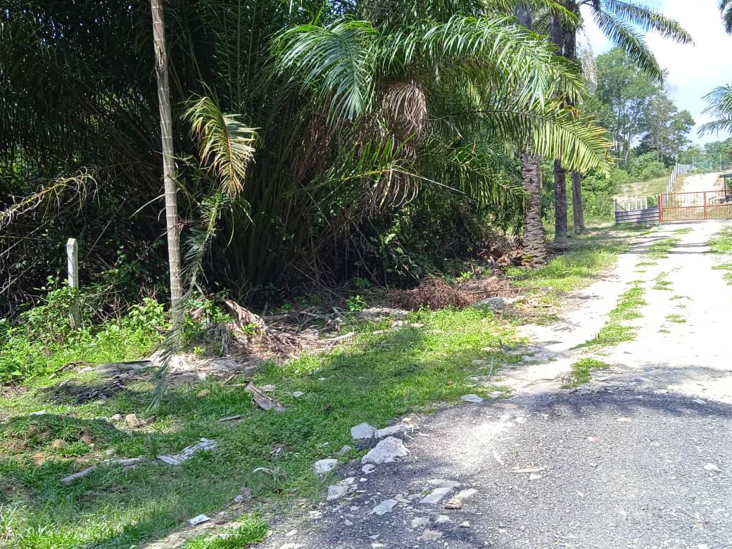 Tanah Kosong di Dengkil Selangor Untuk Dijual - photo 4