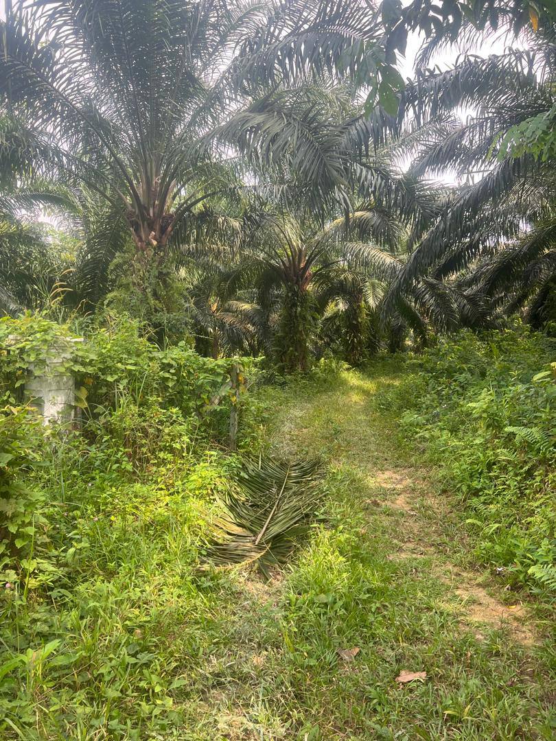 Tanah Kampung Lenggeng Negeri Sembilan  For Sale - photo 8