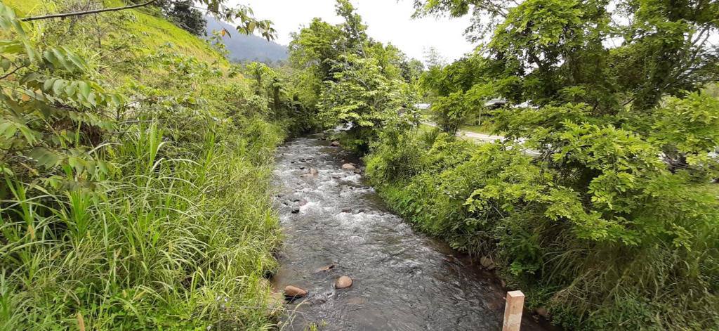 Tanah di Janda Baik Bentong Pahang Untuk Dijual - photo 2
