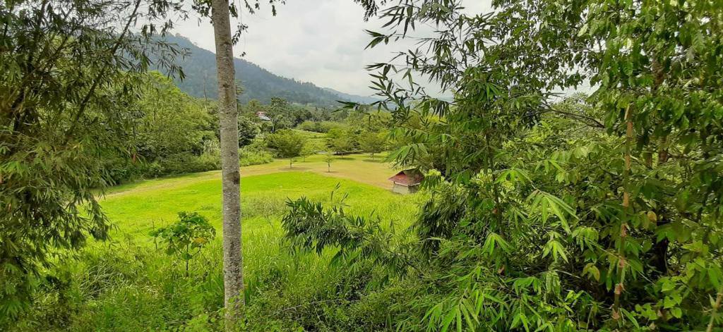 Tanah di Janda Baik Bentong Pahang Untuk Dijual - photo 3