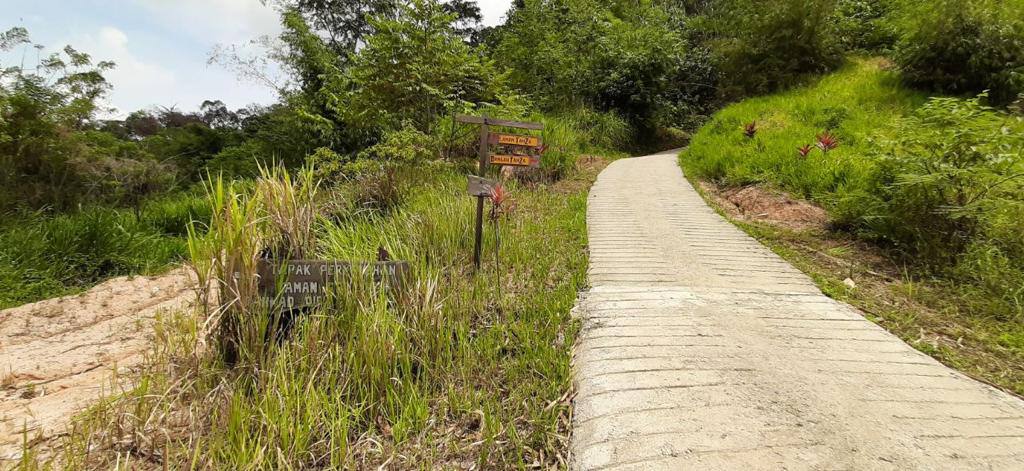 Tanah di Janda Baik Bentong Pahang Untuk Dijual - photo 7