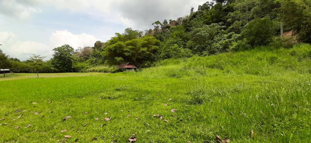 Tanah di Janda Baik Bentong Pahang Untuk Dijual - photo 8