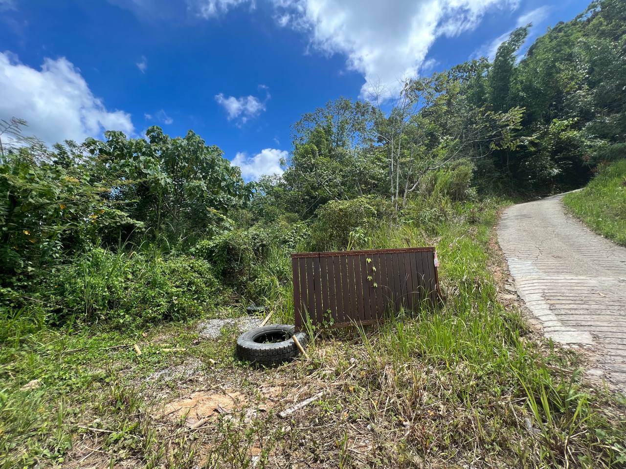 Tanah di Janda Baik Bentong Pahang Untuk Dijual - photo 9