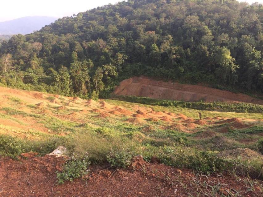 Tanah di Rembau Negeri Sembilan For Sale - photo 7