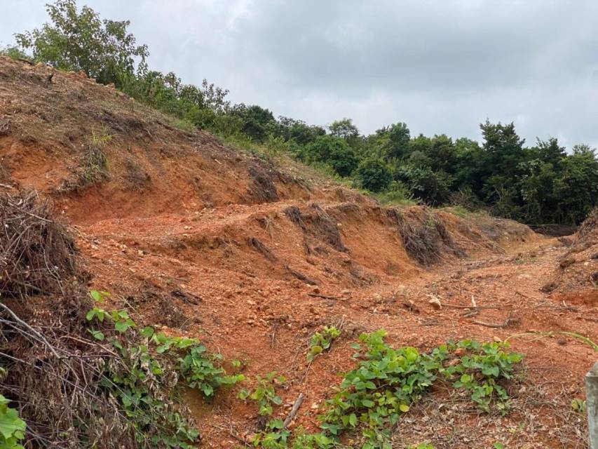 Tanah di Rembau Negeri Sembilan For Sale - photo 8