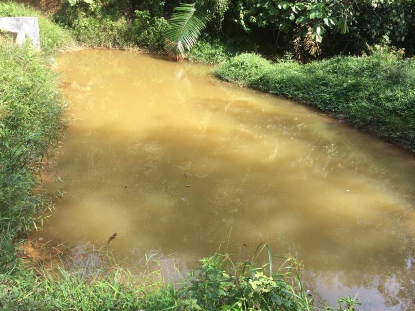 Tanah di Rembau Negeri Sembilan For Sale - photo 9