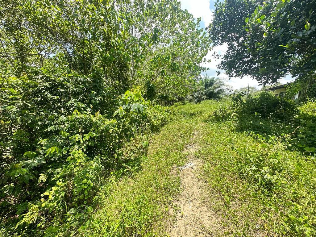 Tanah Pertanian di Kuala Pilah Untuk DIjual - photo 2