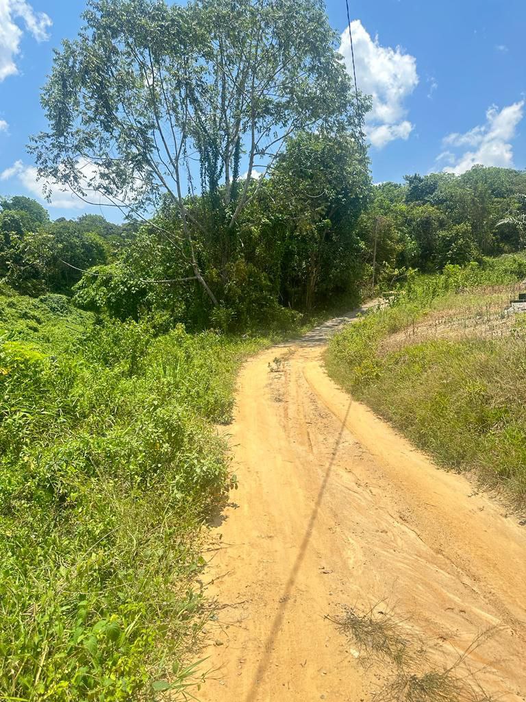 Tanah Pertanian di Kuala Pilah Untuk DIjual - photo 3