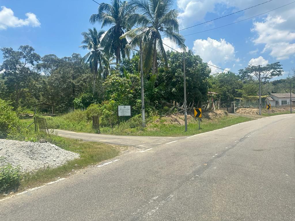 Tanah Pertanian di Kuala Pilah Untuk DIjual - photo 5