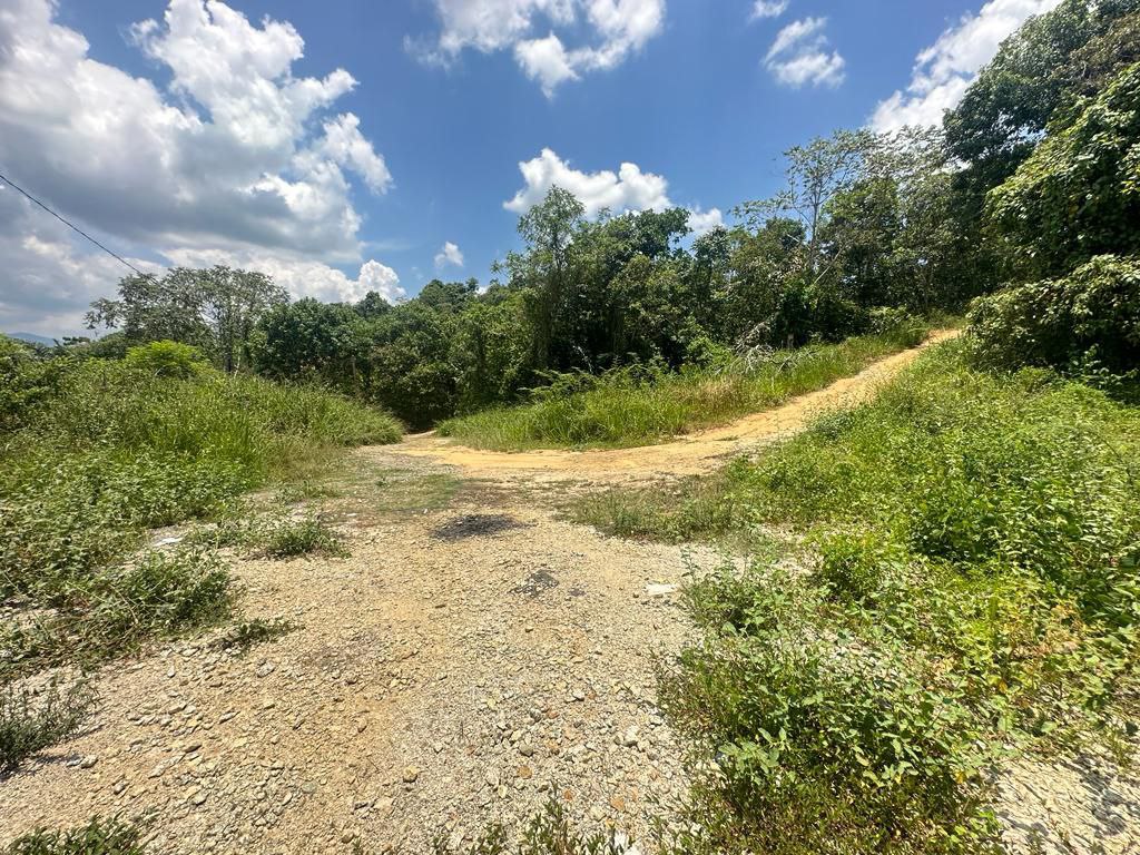 Tanah Pertanian di Kuala Pilah Untuk DIjual - photo 9