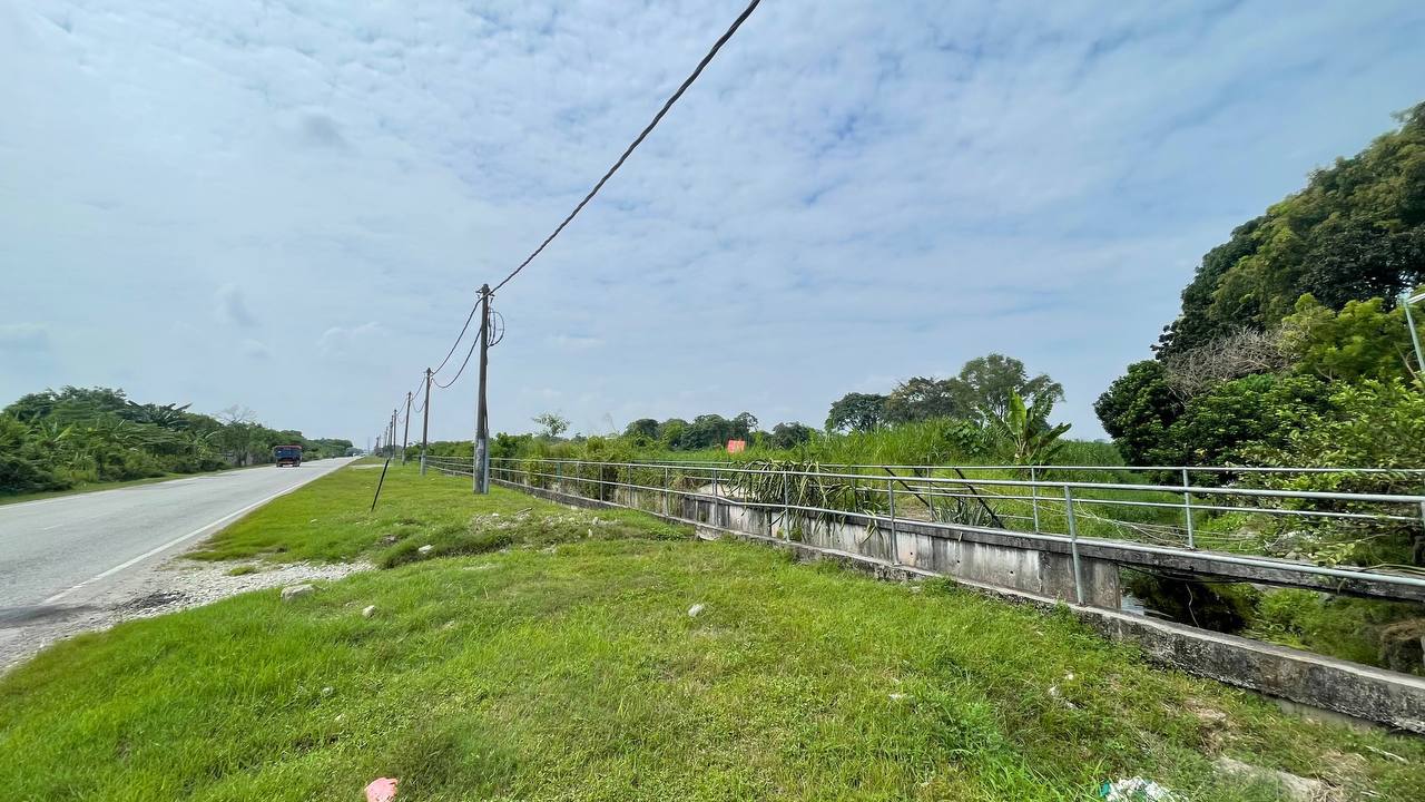 Tanah Pertanian di Klang Selangor Untuk Disewa - photo 3