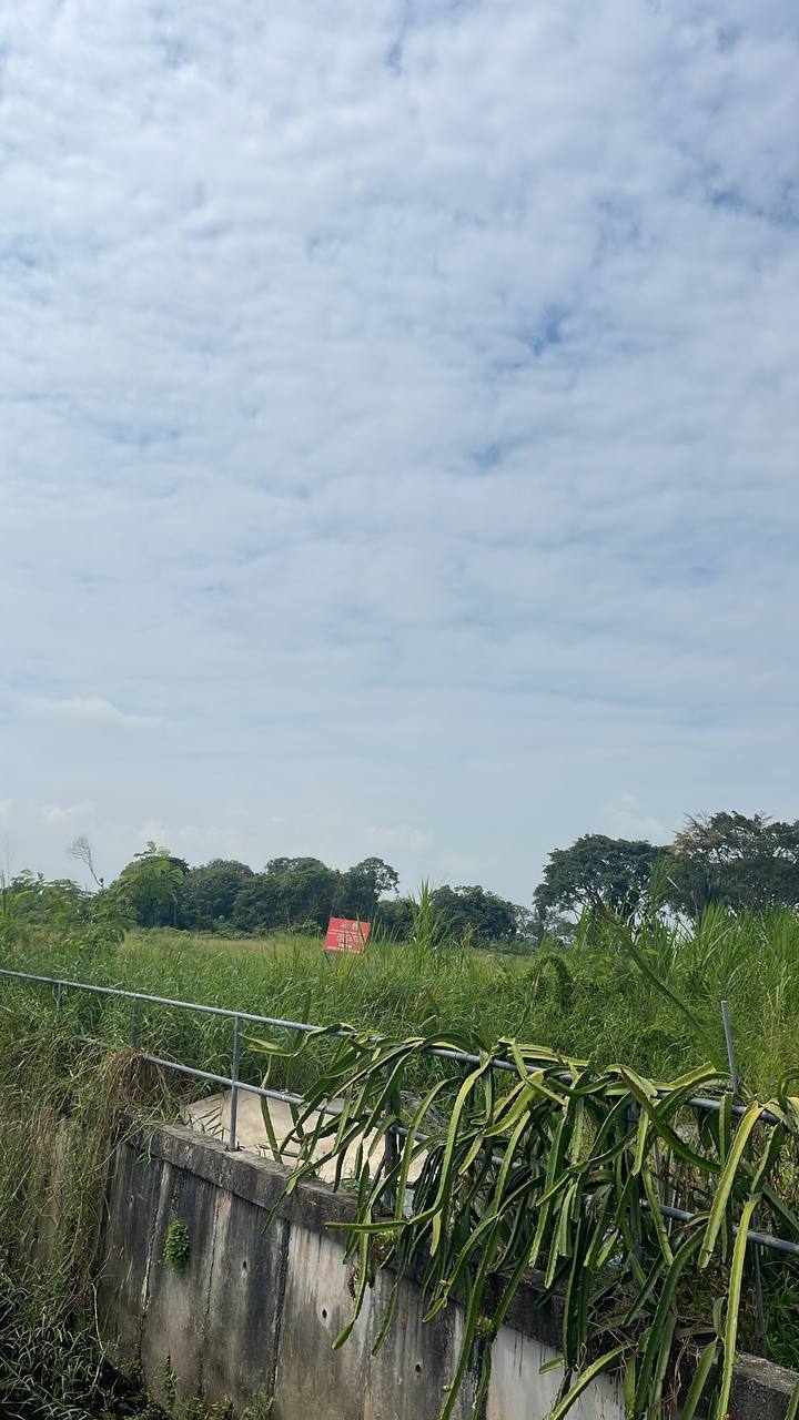 Tanah Pertanian di Klang Selangor Untuk Disewa - photo 5