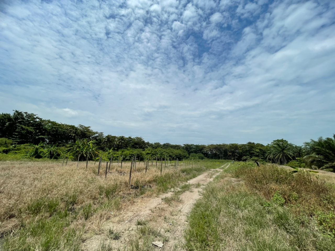Land Lot 2412 Zon Perindustrian Sungai Sembilang - photo 2