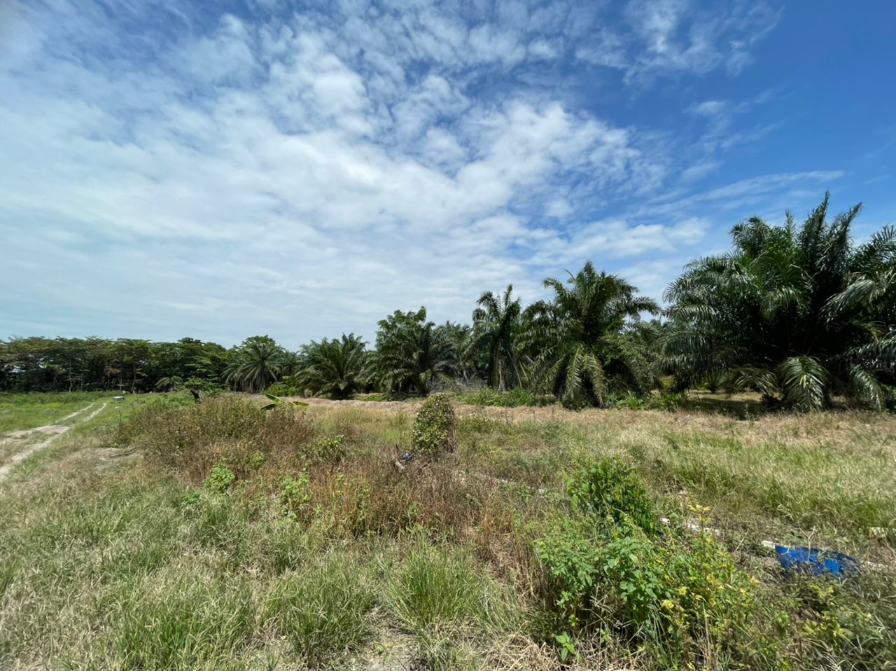 Land Lot 2412 Zon Perindustrian Sungai Sembilang - photo 3