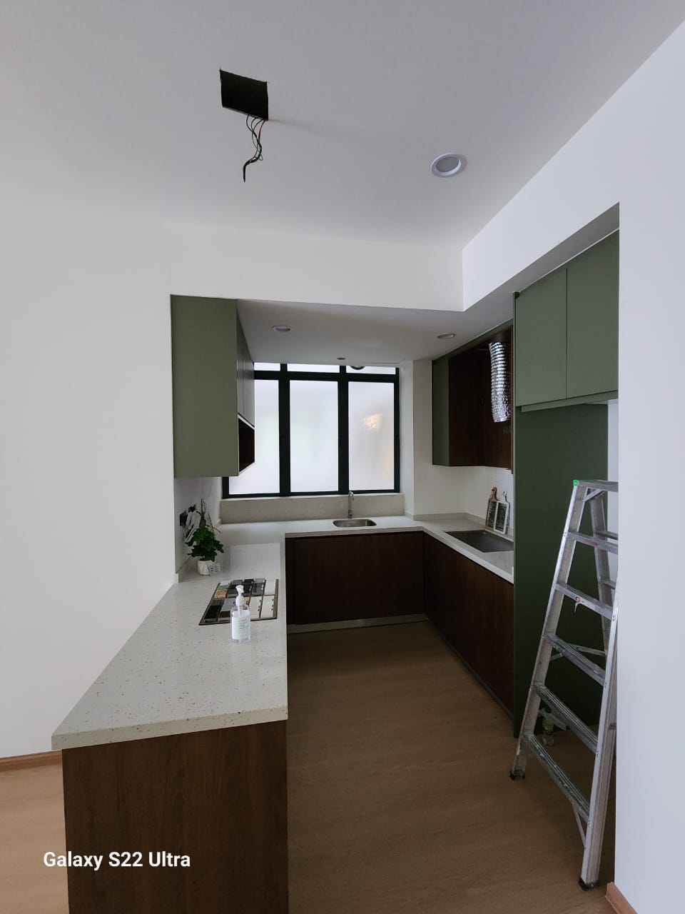 Aster green 2R2B 732sf FF - photo 2