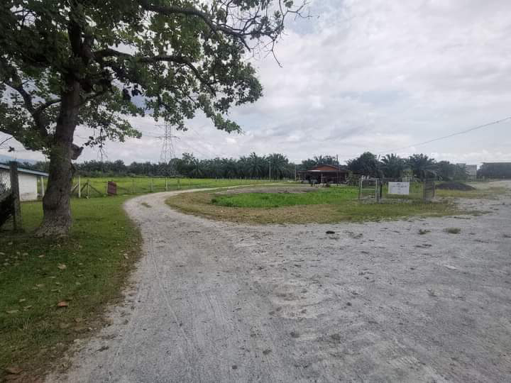 Tanah pertanian seluas 4.84 ekar untuk dijual di Teluk Kertang Matang Perak - photo 3