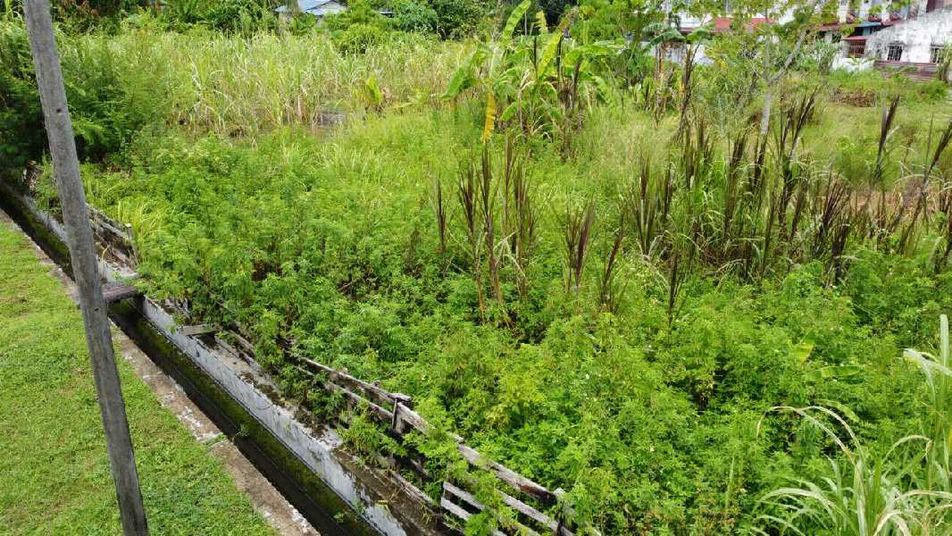 TANAH LOT BANGLO KG TEKAH TAMBAHAN TAIPING UNTUK DIJUAL - photo 4