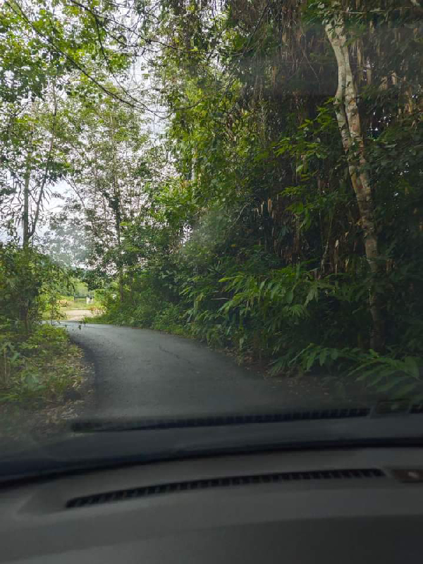 Tanah Pertanian berkeluasan 4.54 Ekar di Gerik untuk dijual RM180k - photo 11