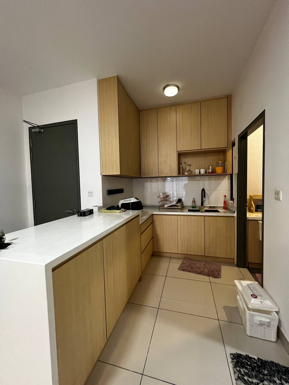 The Herz Condo - photo 2