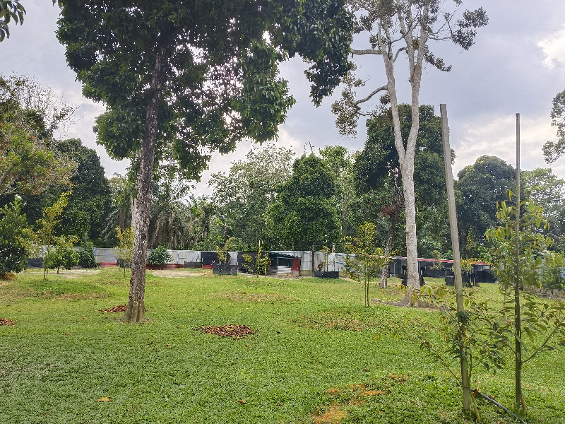 Land For Sale @Nibong Tebal